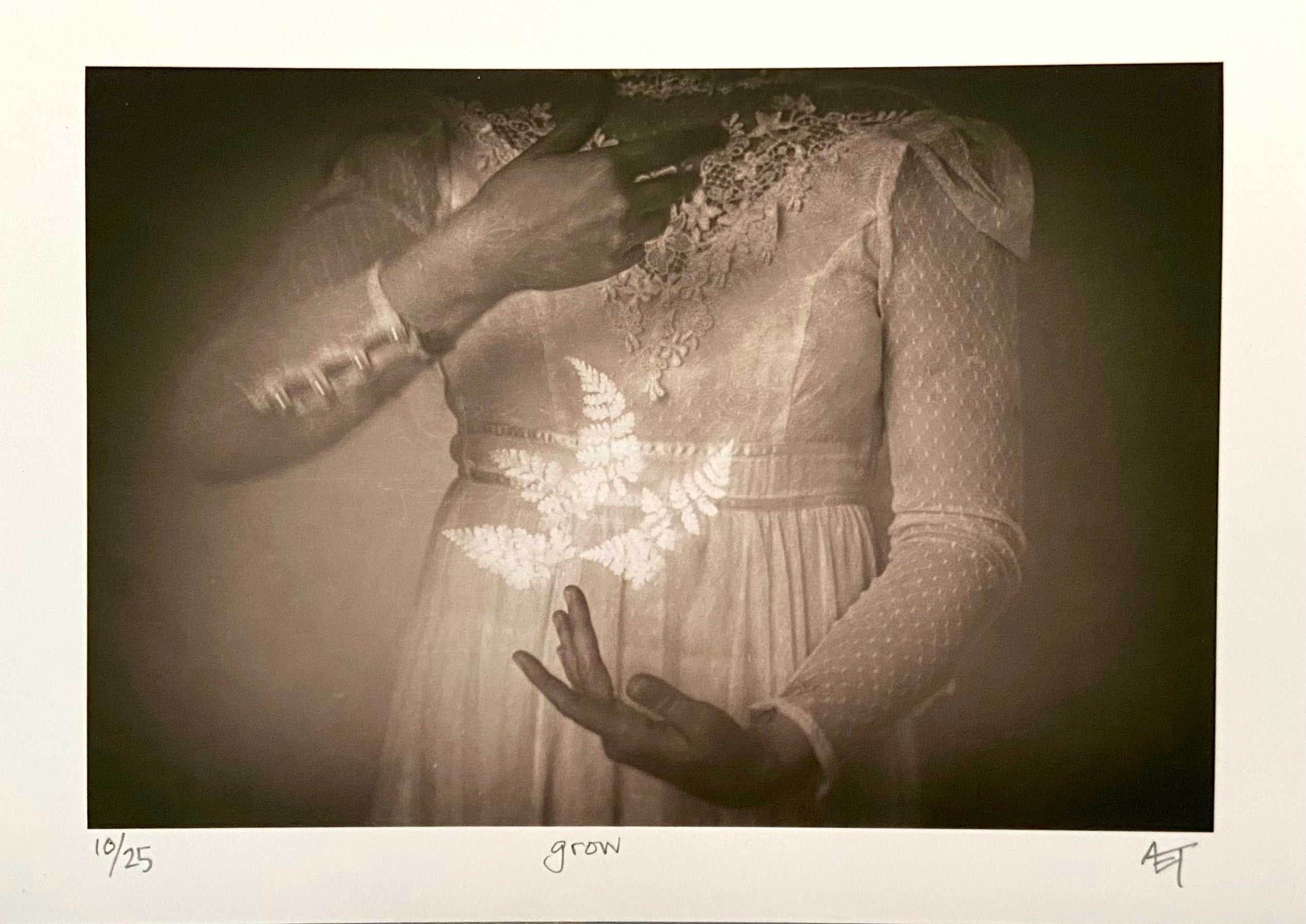 Amber Thieneman - Grow 5" x 7" Giclee Print