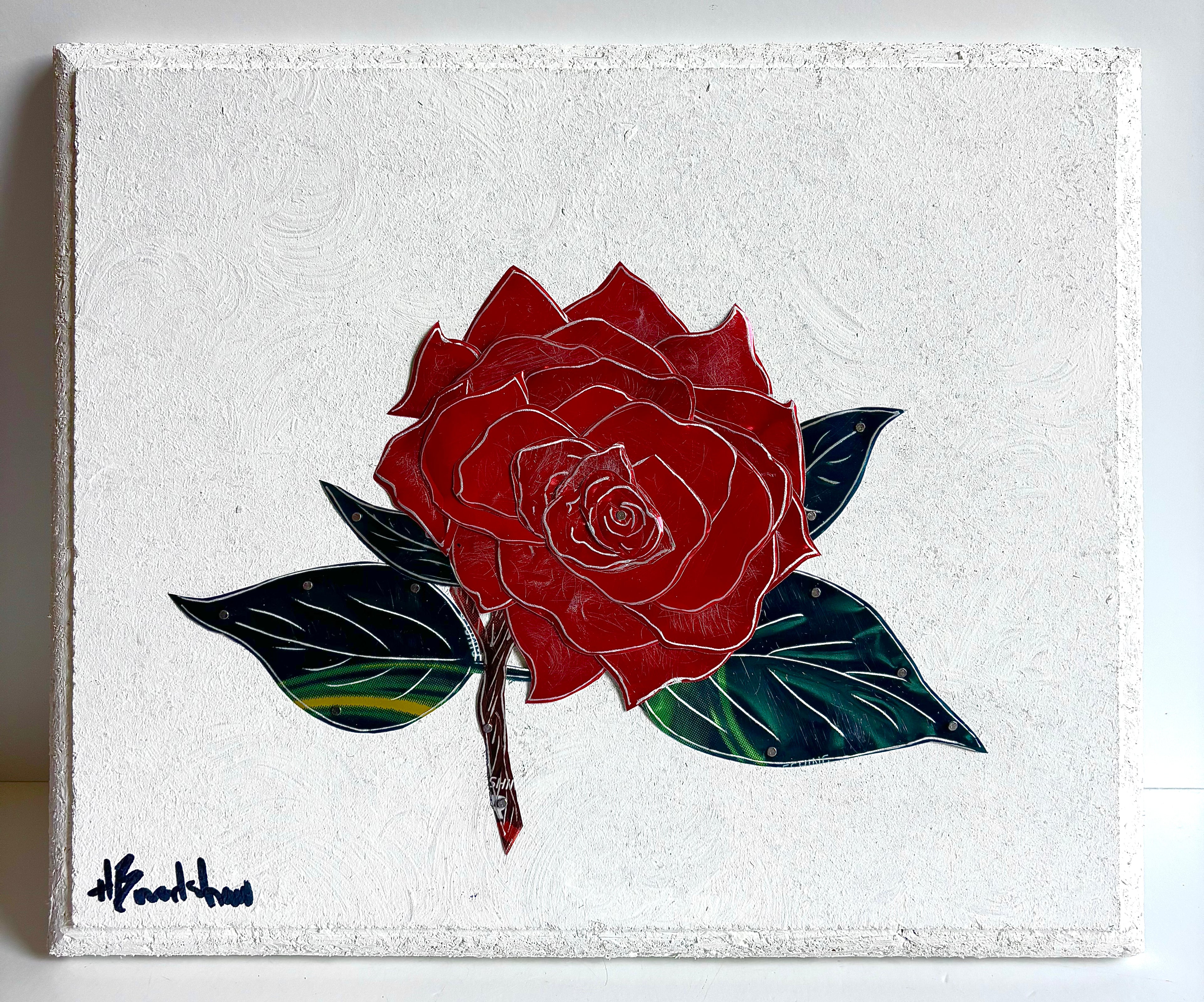 Herb Bradshaw - Rose Wide