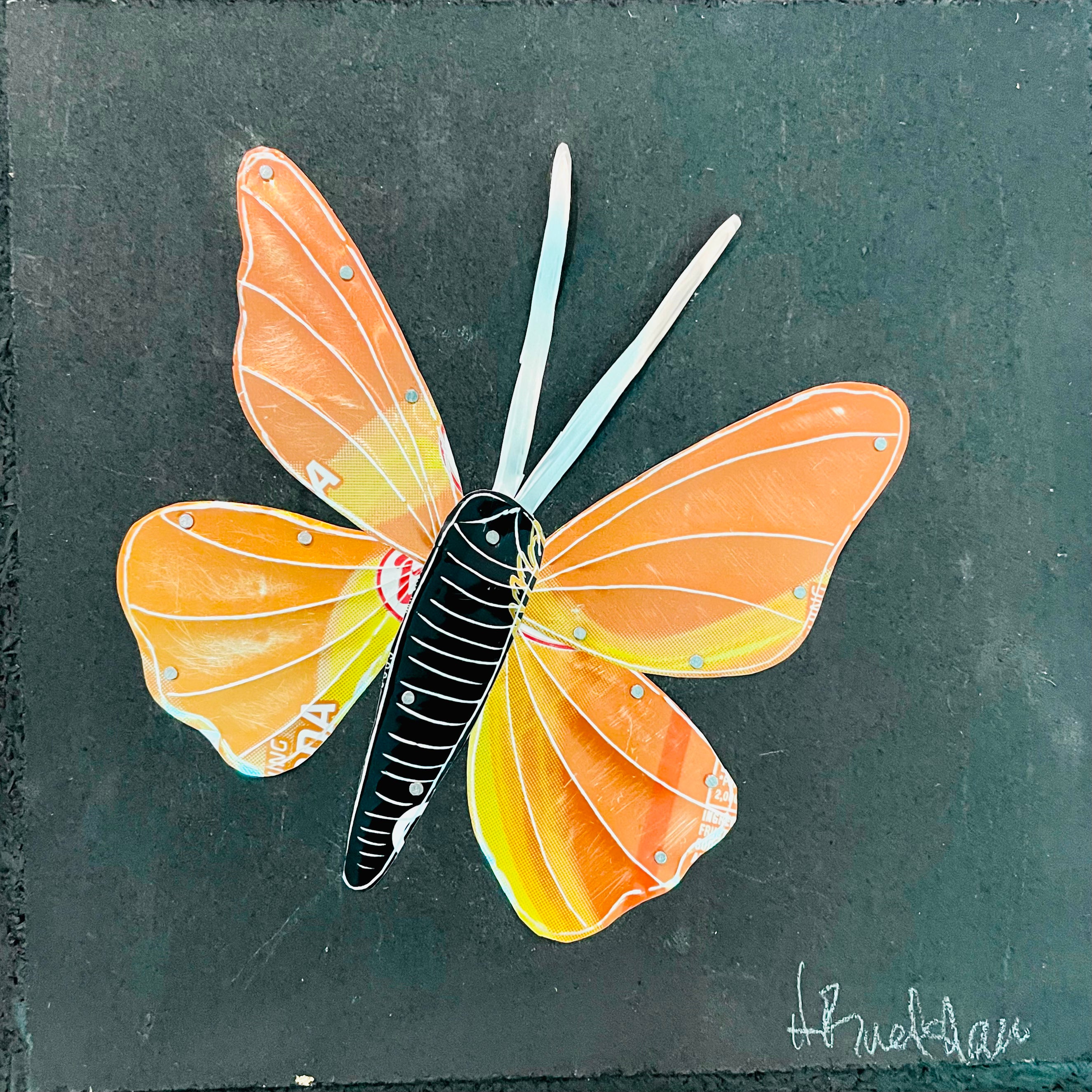Herb Bradshaw - Orange Butterfly