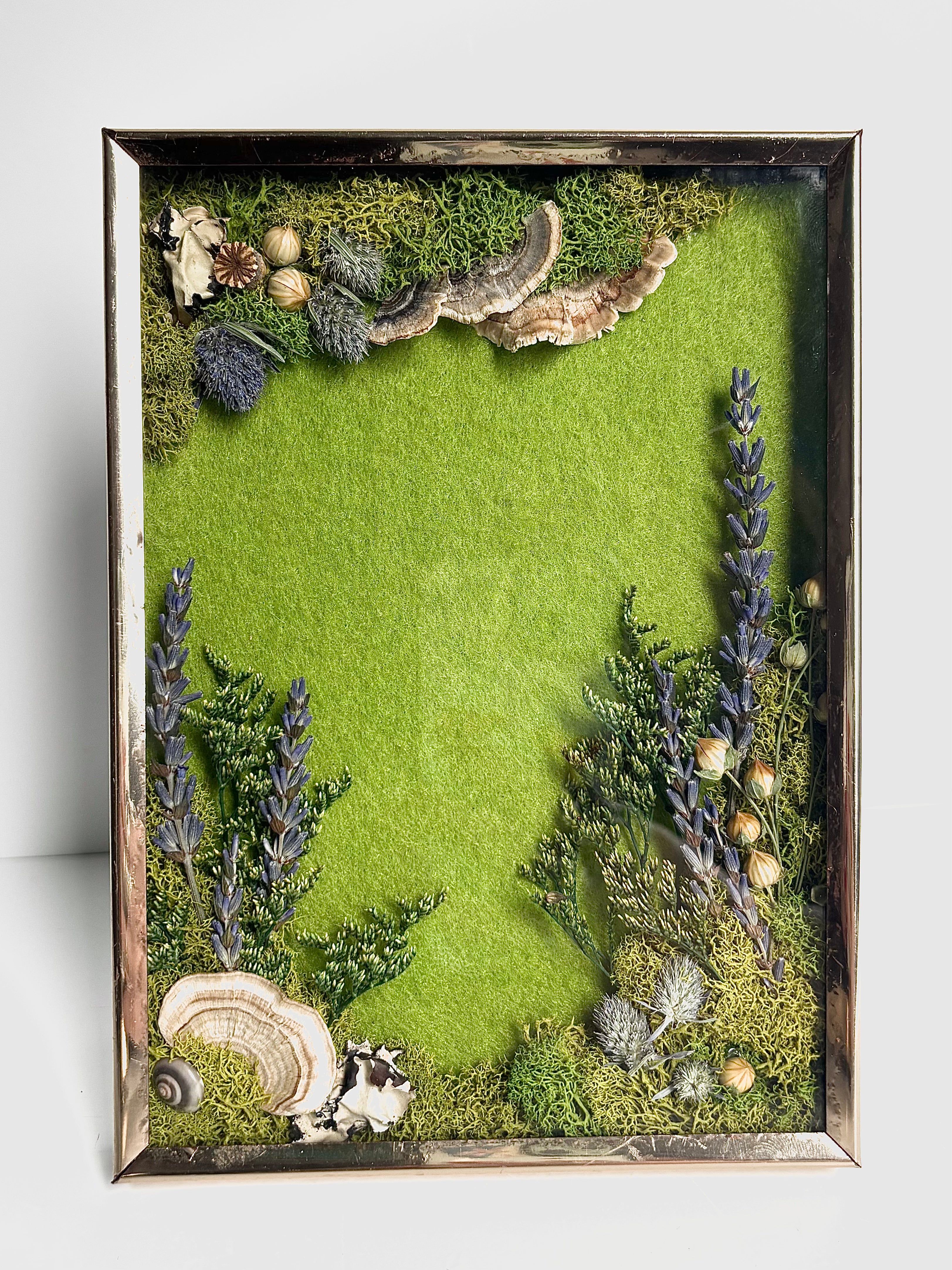CA Studios - Framed Forest