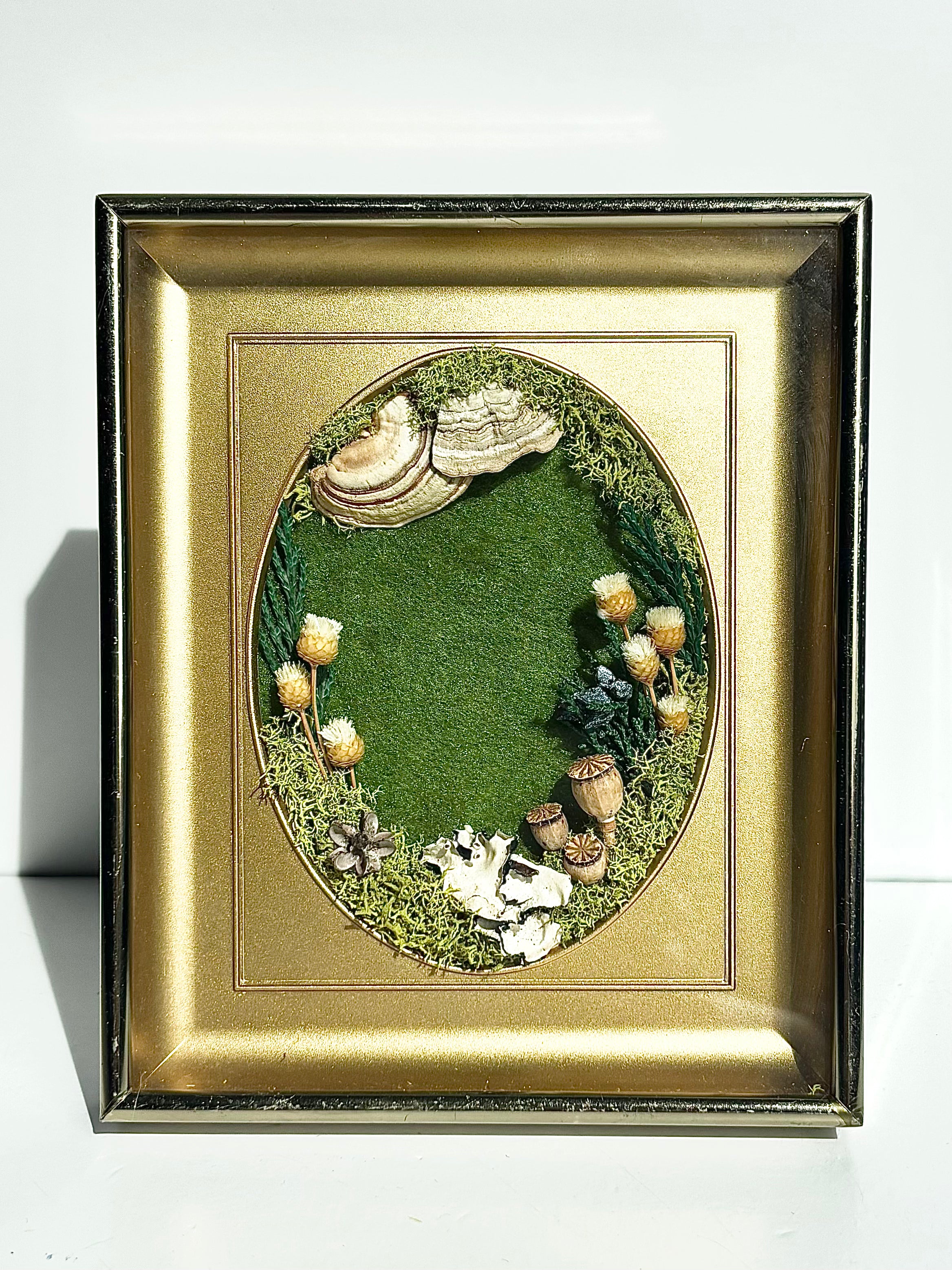 CA Studios - Framed Forest