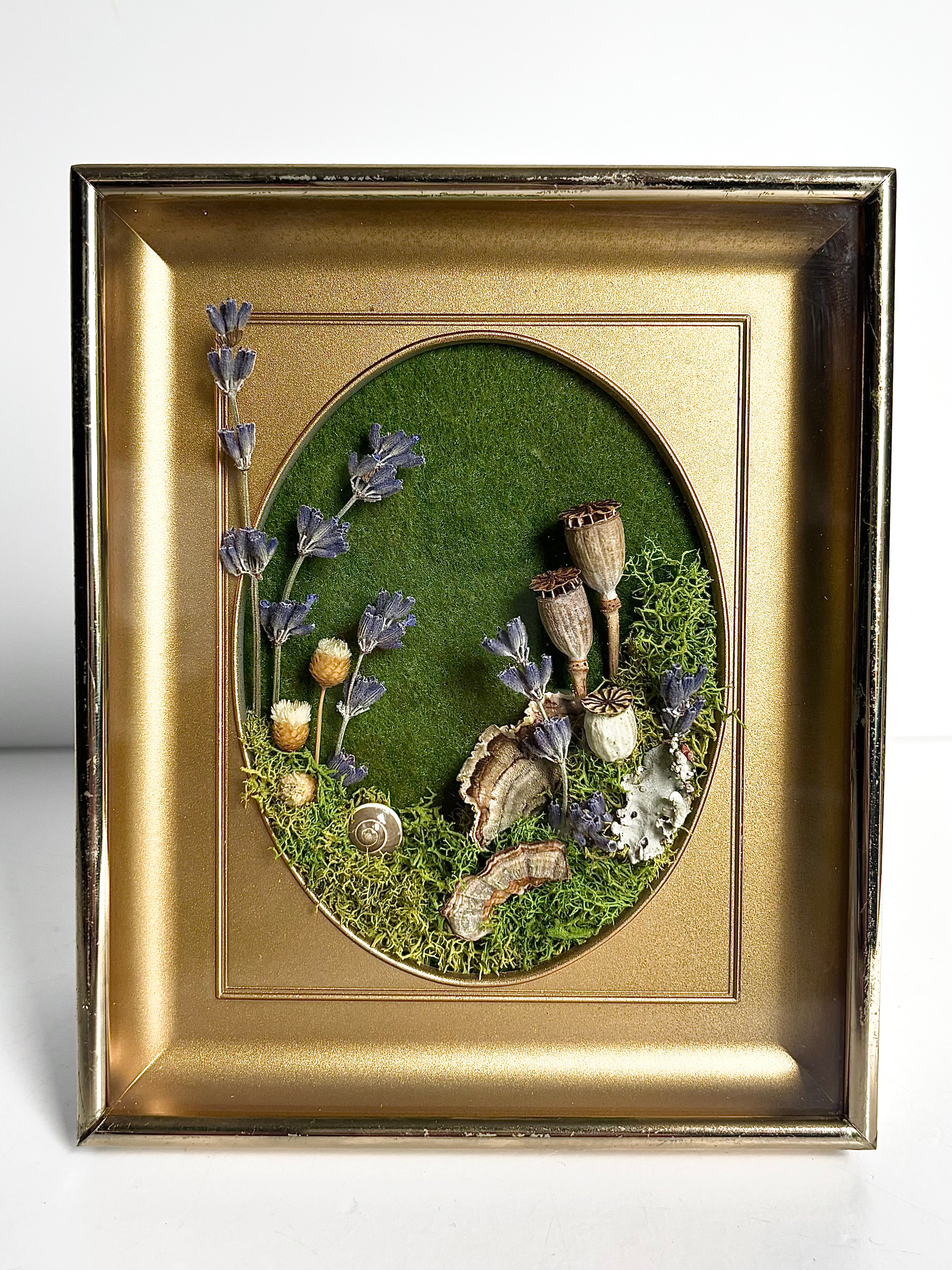 CA Studios - Framed Forest