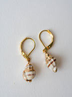 Finds Design - Small Conch Earrings