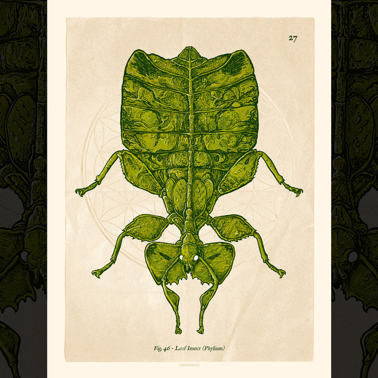 AngryBlue - Phyllium (Small Print)