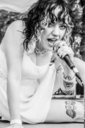 Tess Fulkerson - "Shark Sandwich at Poorcastle"