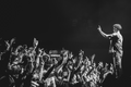 Will Fenwick - "Jack Harlow"