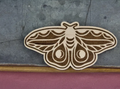 Slate & Stone Co. - Moth Magnet