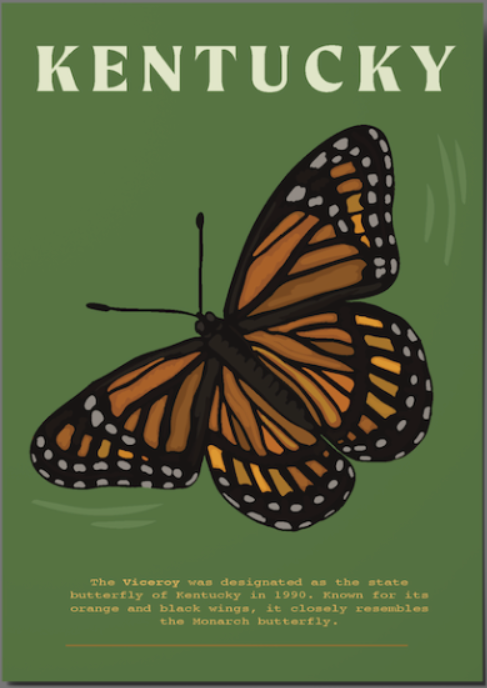 Jessica Holly Creative - Kentucky Butterfly 4x6 Postcard
