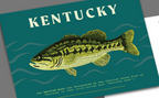 Jessica Holly Creative - Kentucky Fish 4x6 Postcard
