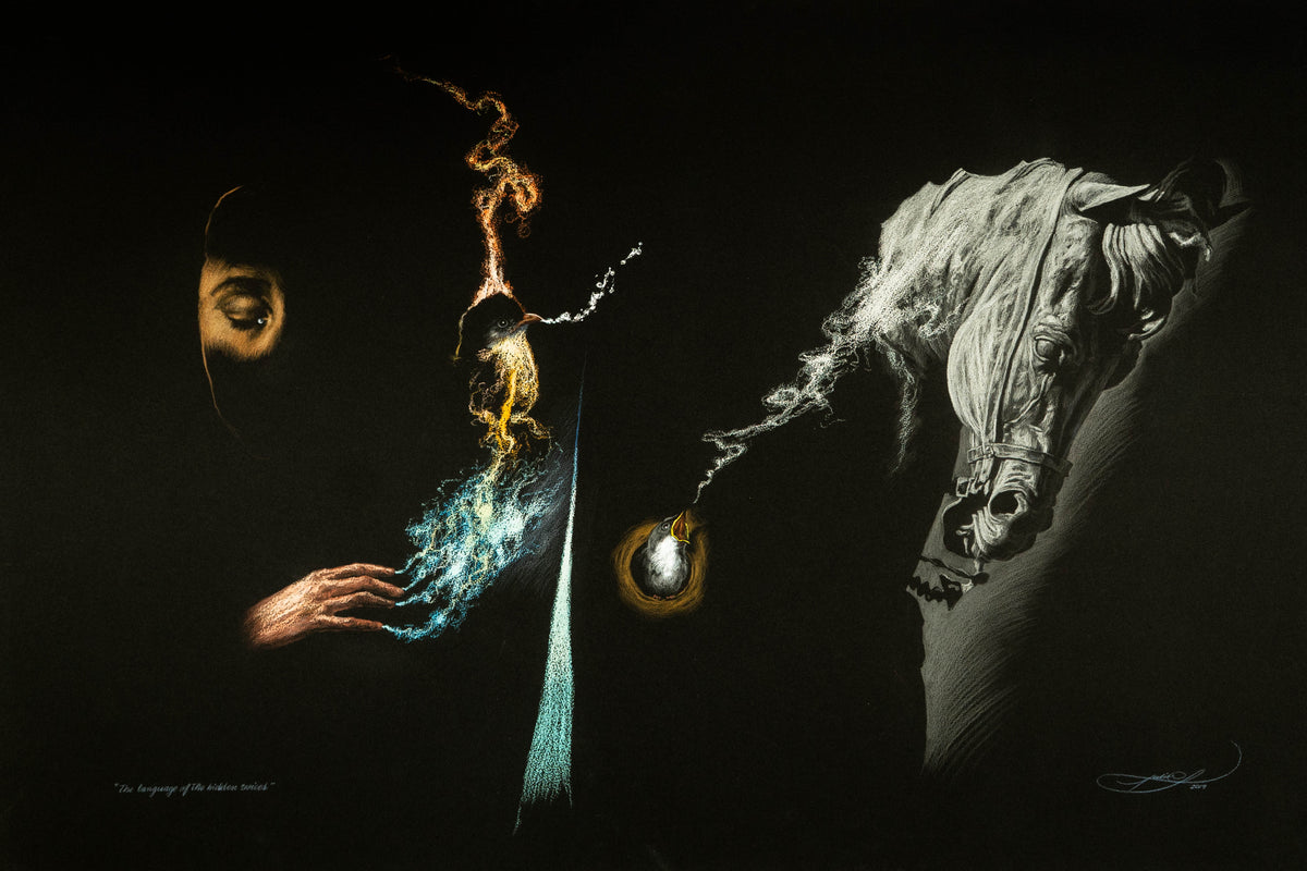Julio Cesar - The Language of the Hidden Voices
