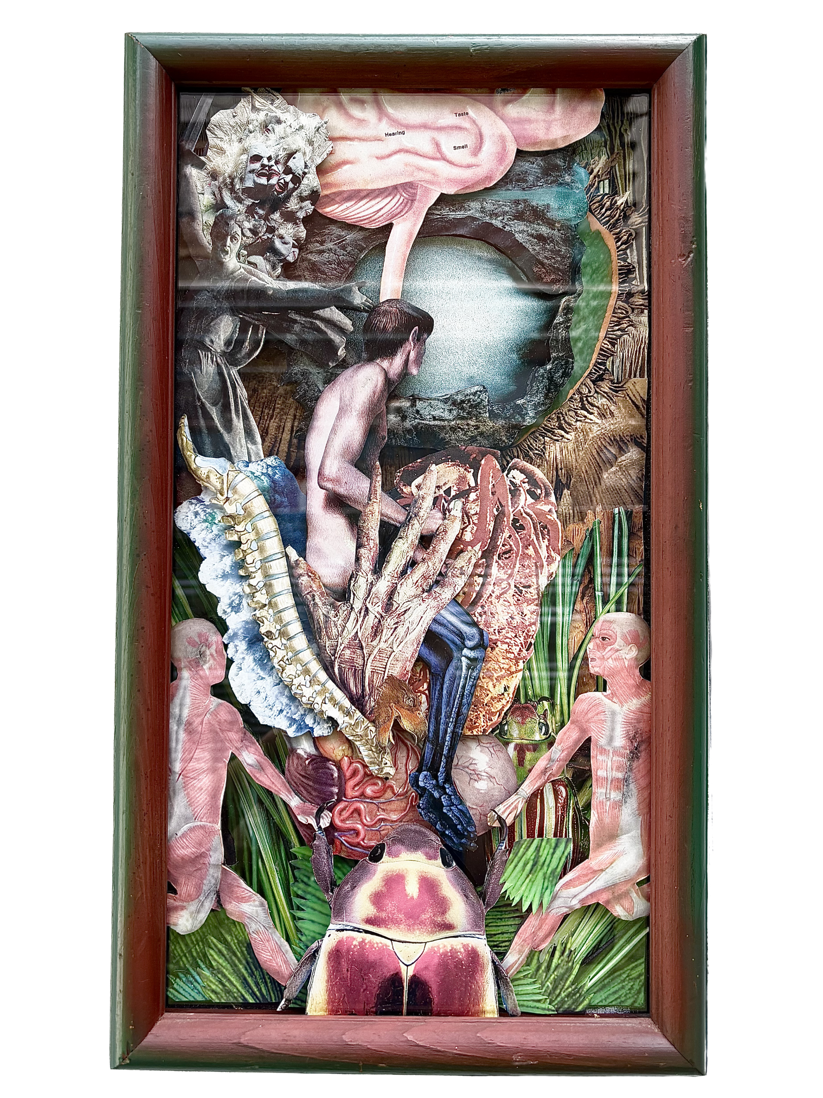 Chad McConnell - Enter The Void