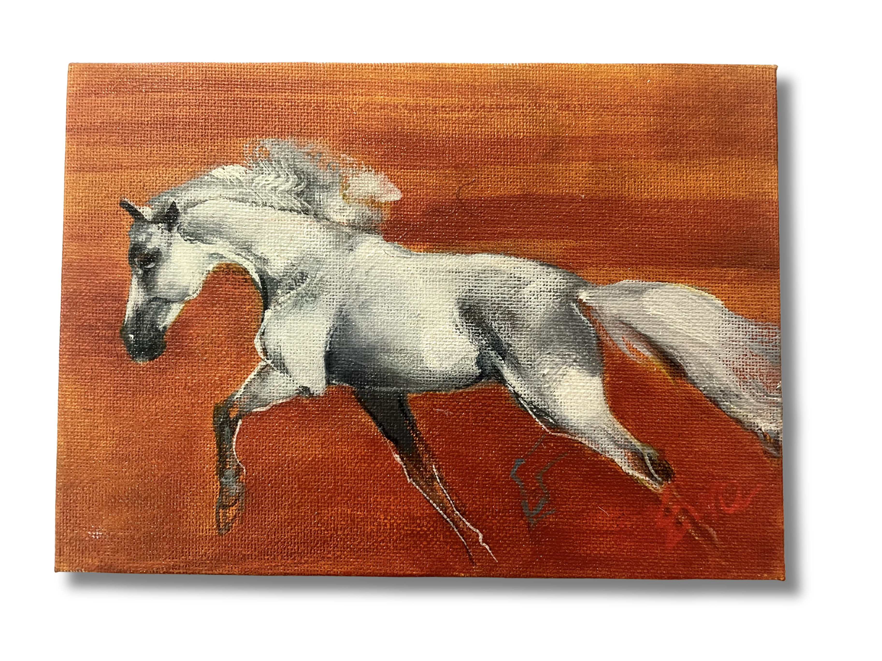 Ewa Perz - Oil Painting 410