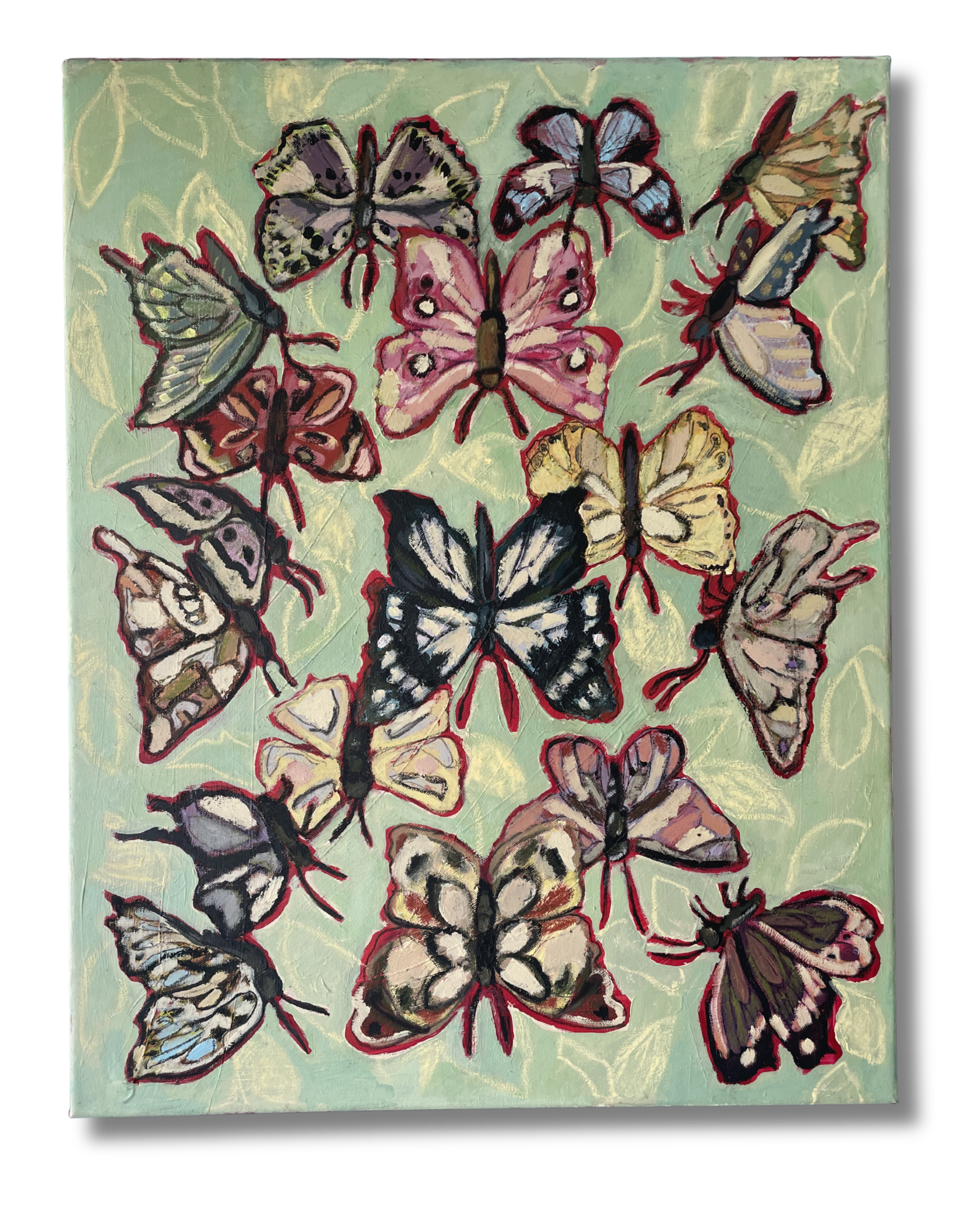 Haley Klein - You Give Me Butterflies