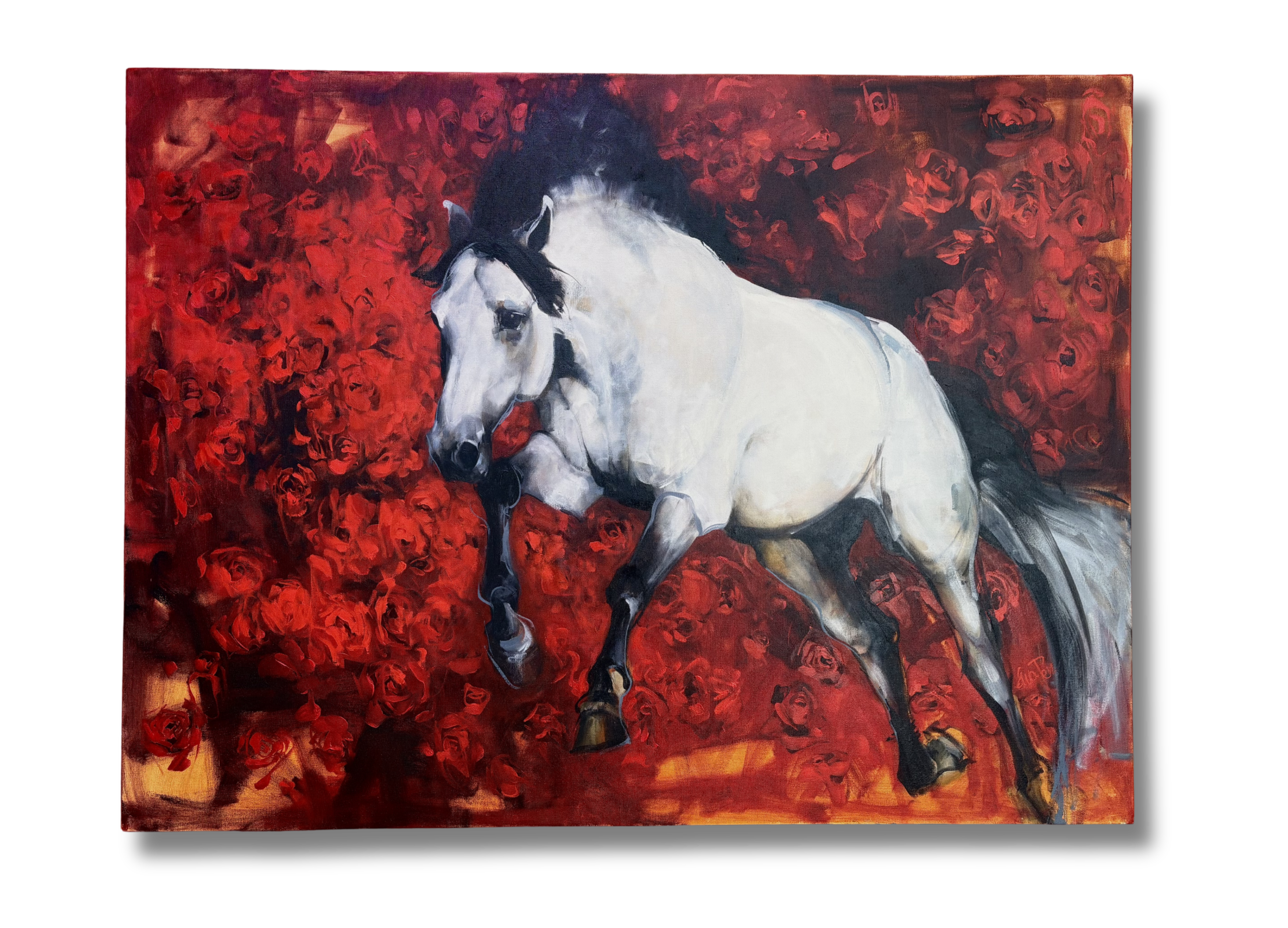 Ewa Perz - Red and White II