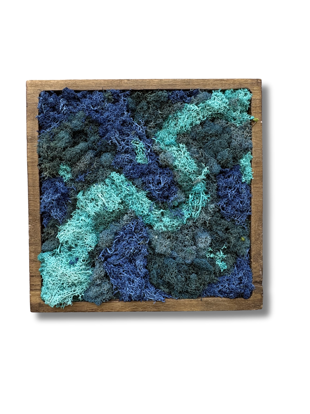 Imani Burns - Blue Square Moss Art