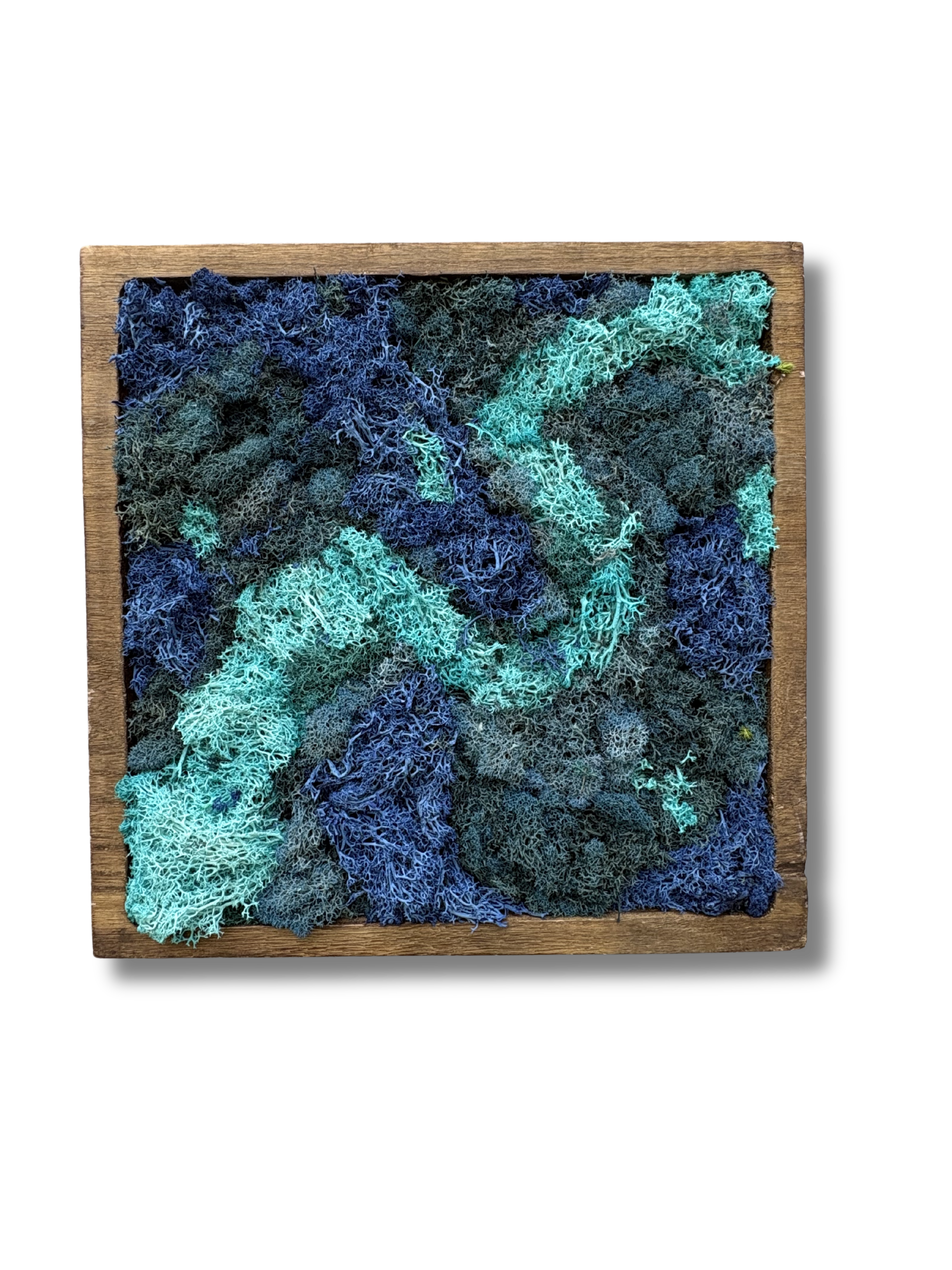 Imani Burns - Blue Square Moss Art