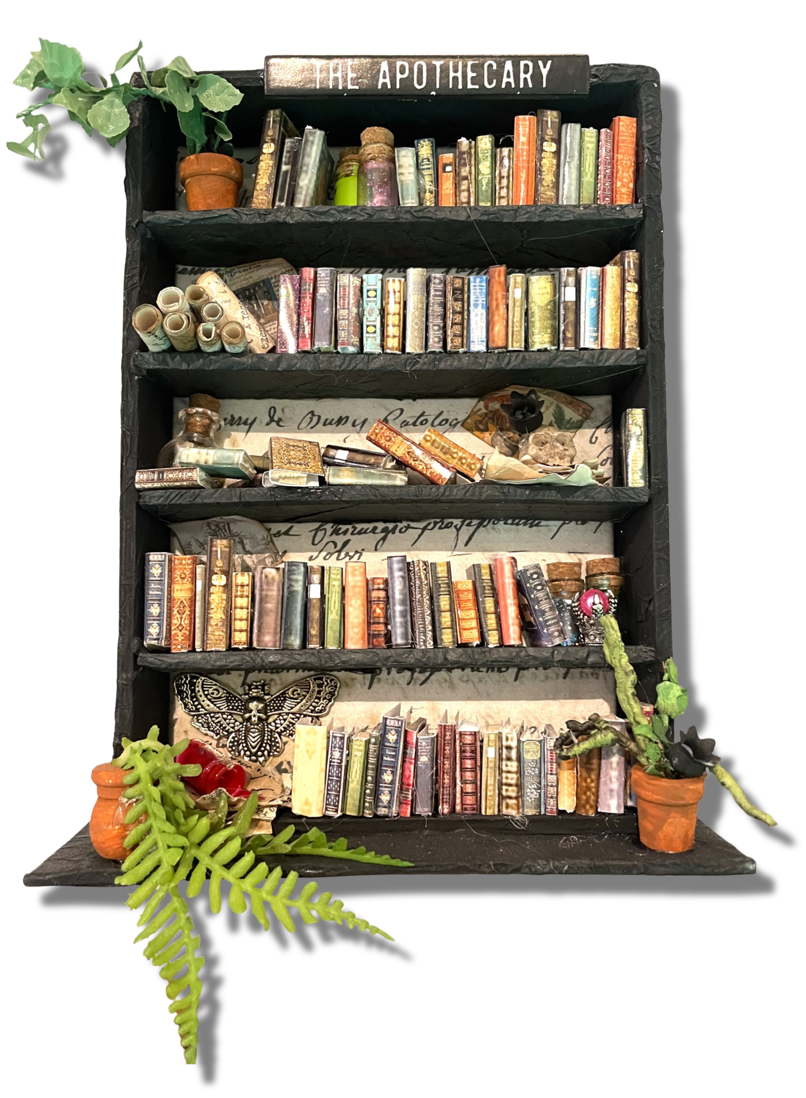 Kimberly Kelting - Oddibrary