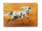 Ewa Perz - Oil Painting 409