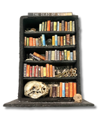 Kimberly Kelting - Oddibrary