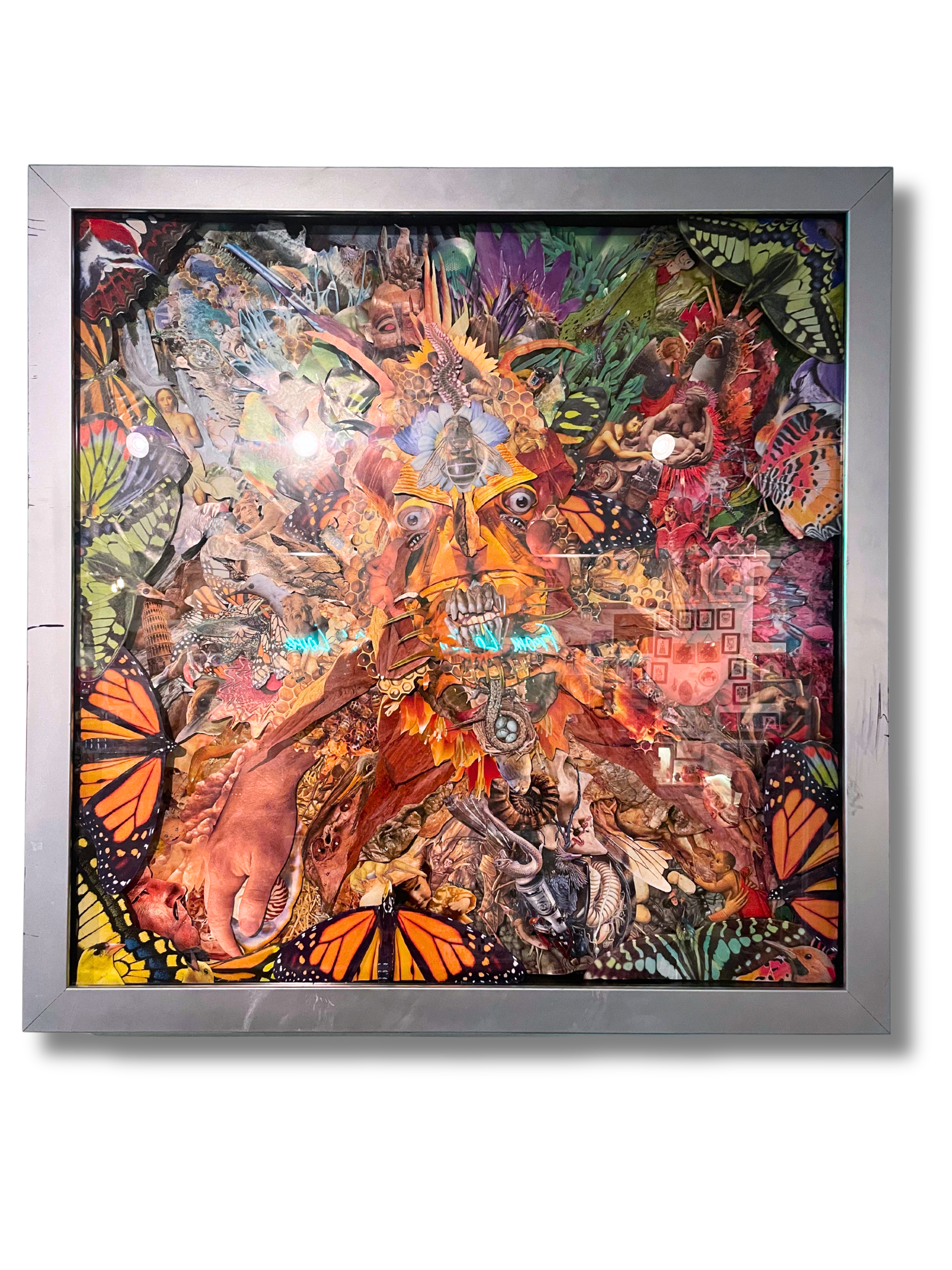 Chad McConnell - The Big Crunch