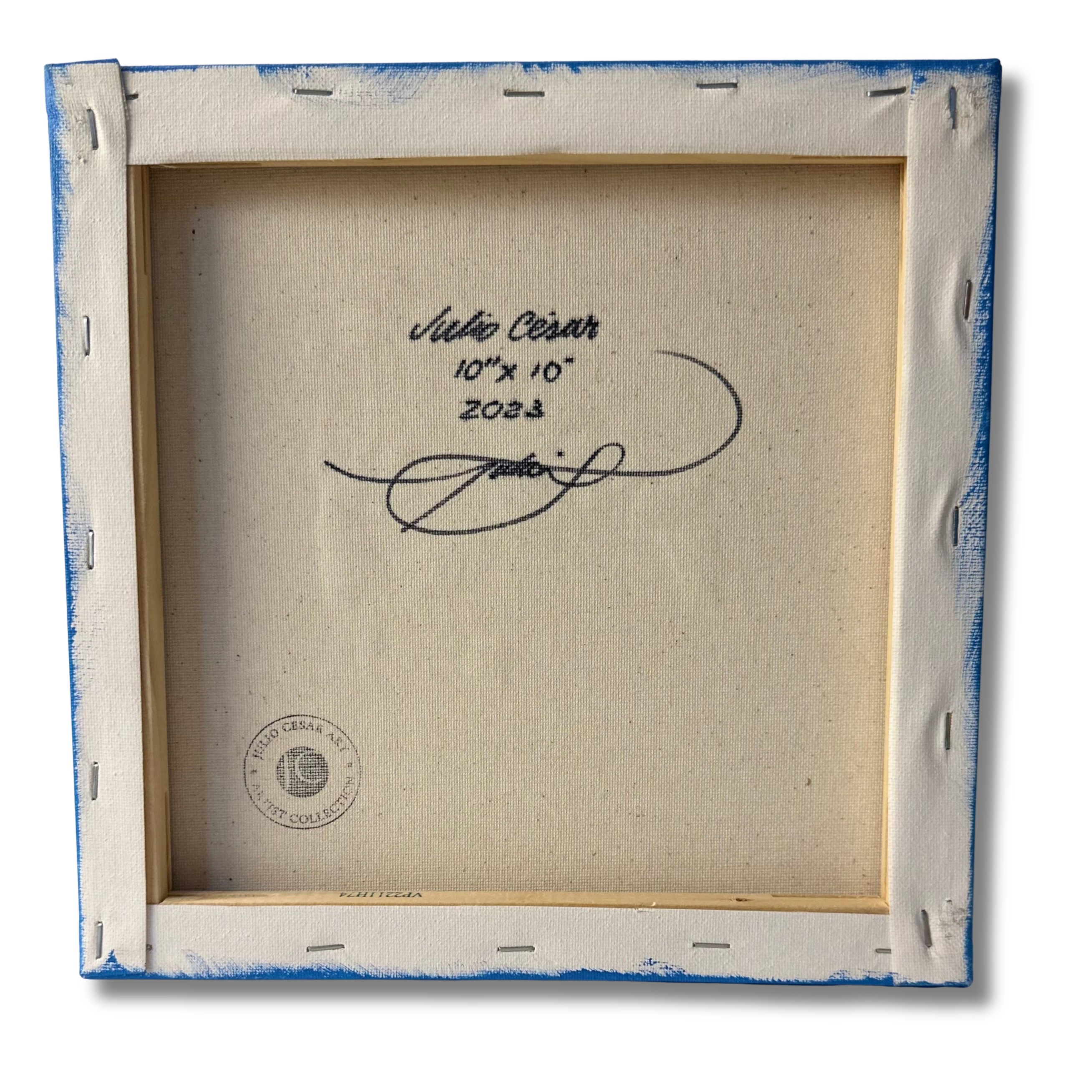 Julio Cesar - Untitled #3