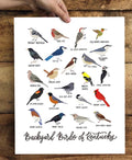 Field & Forest Design - Backyard Birds of Kentucky