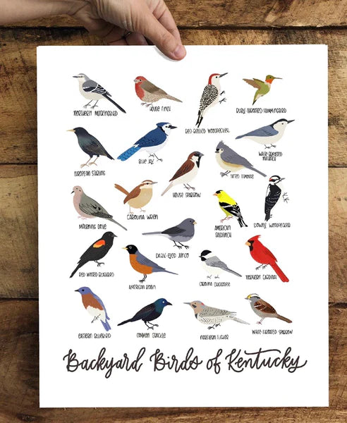Field & Forest Design - Backyard Birds of Kentucky