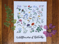 Field & Forest - Wildflowers of Kentucky Print