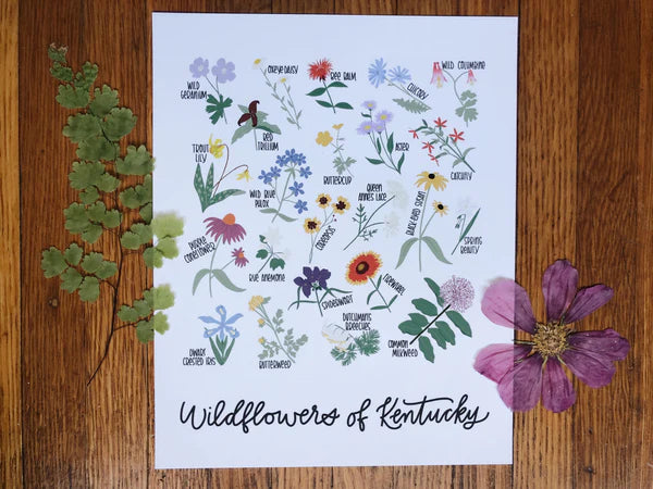 Field & Forest - Wildflowers of Kentucky Print