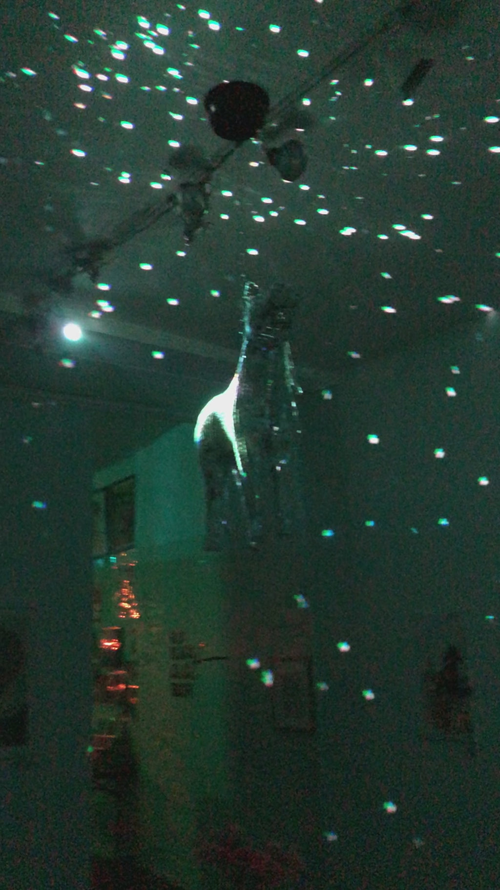 Robert Brown- Disco Horse