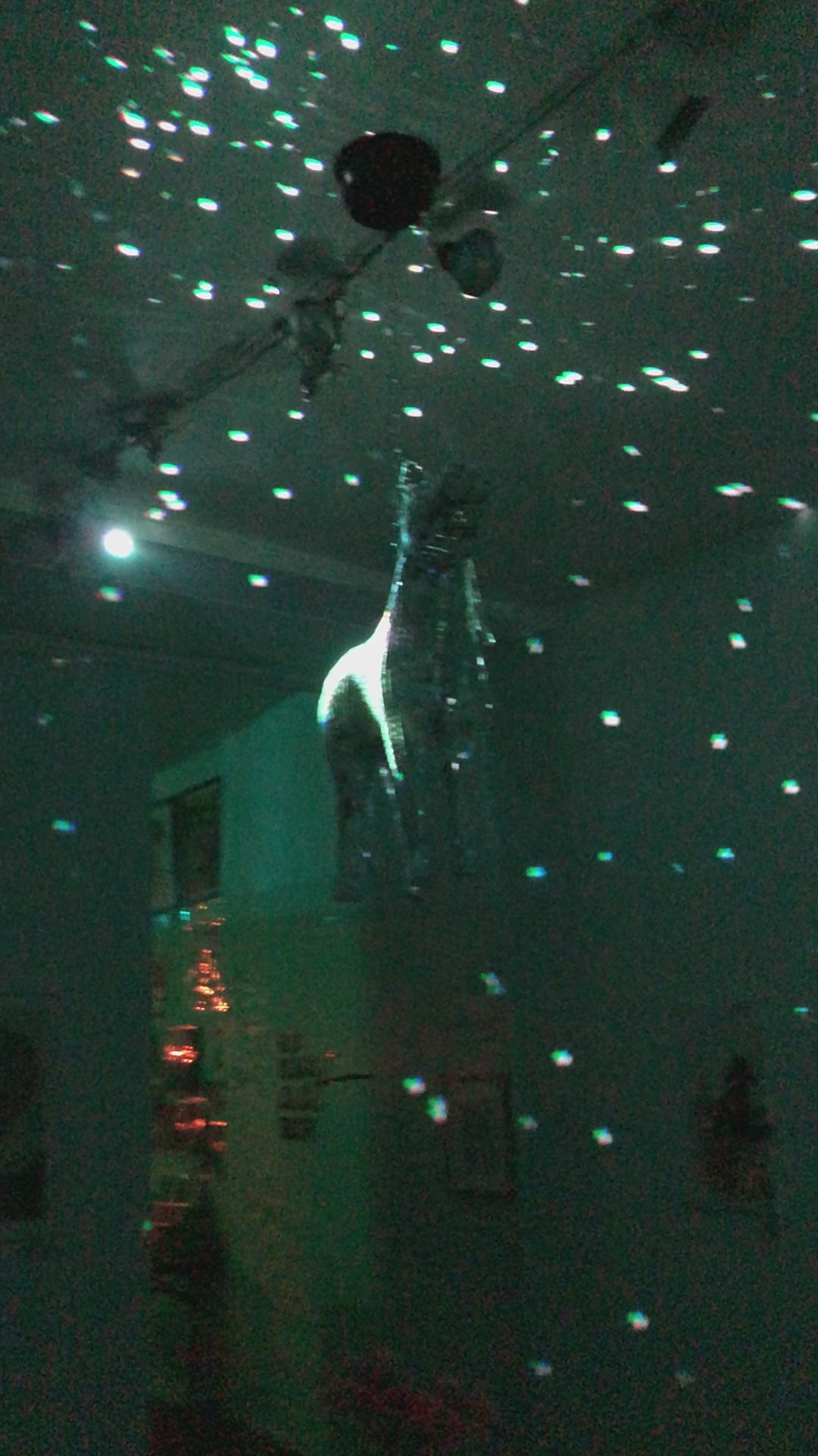 Robert Brown- Disco Horse