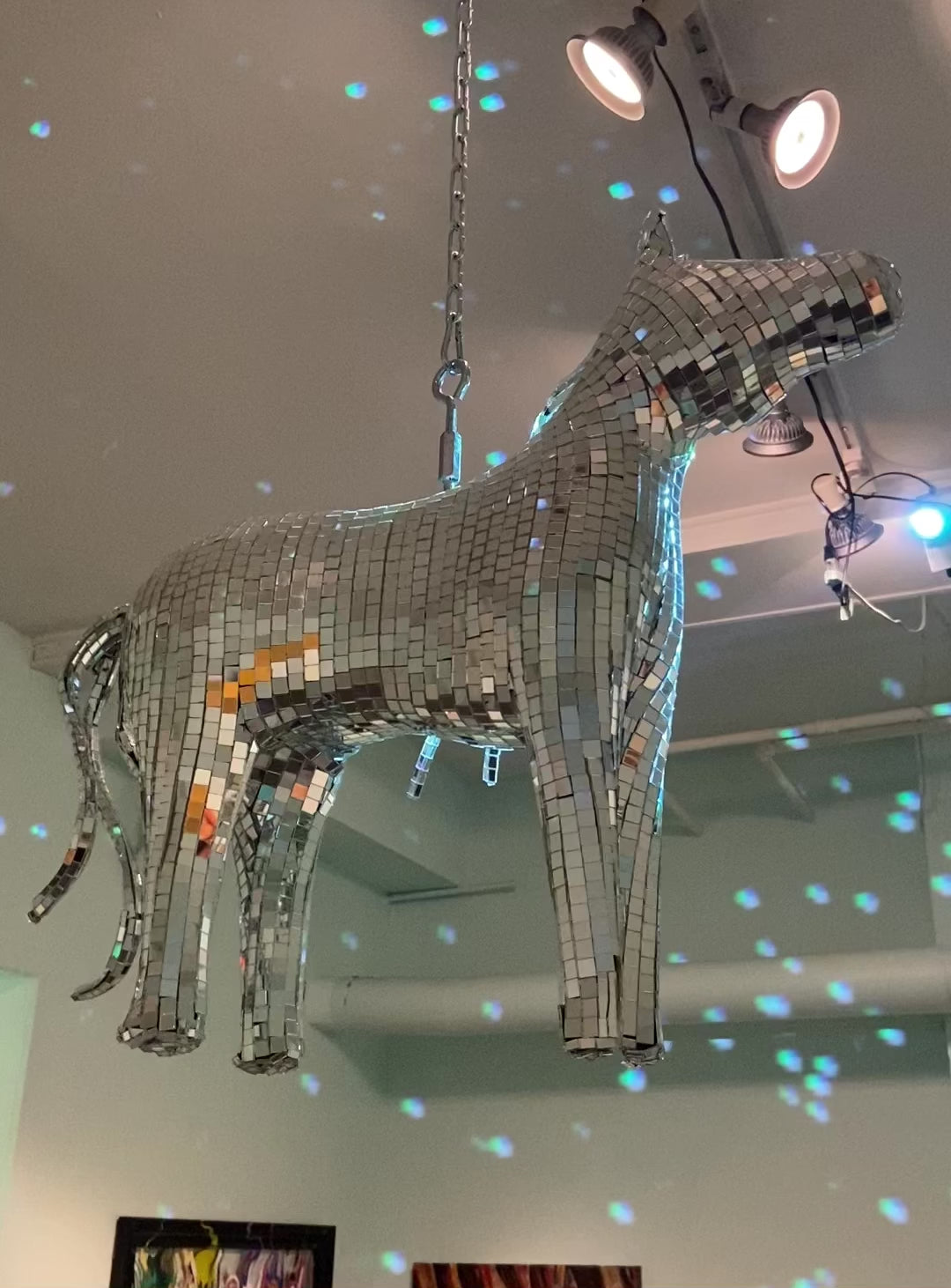 Robert Brown- Disco Horse