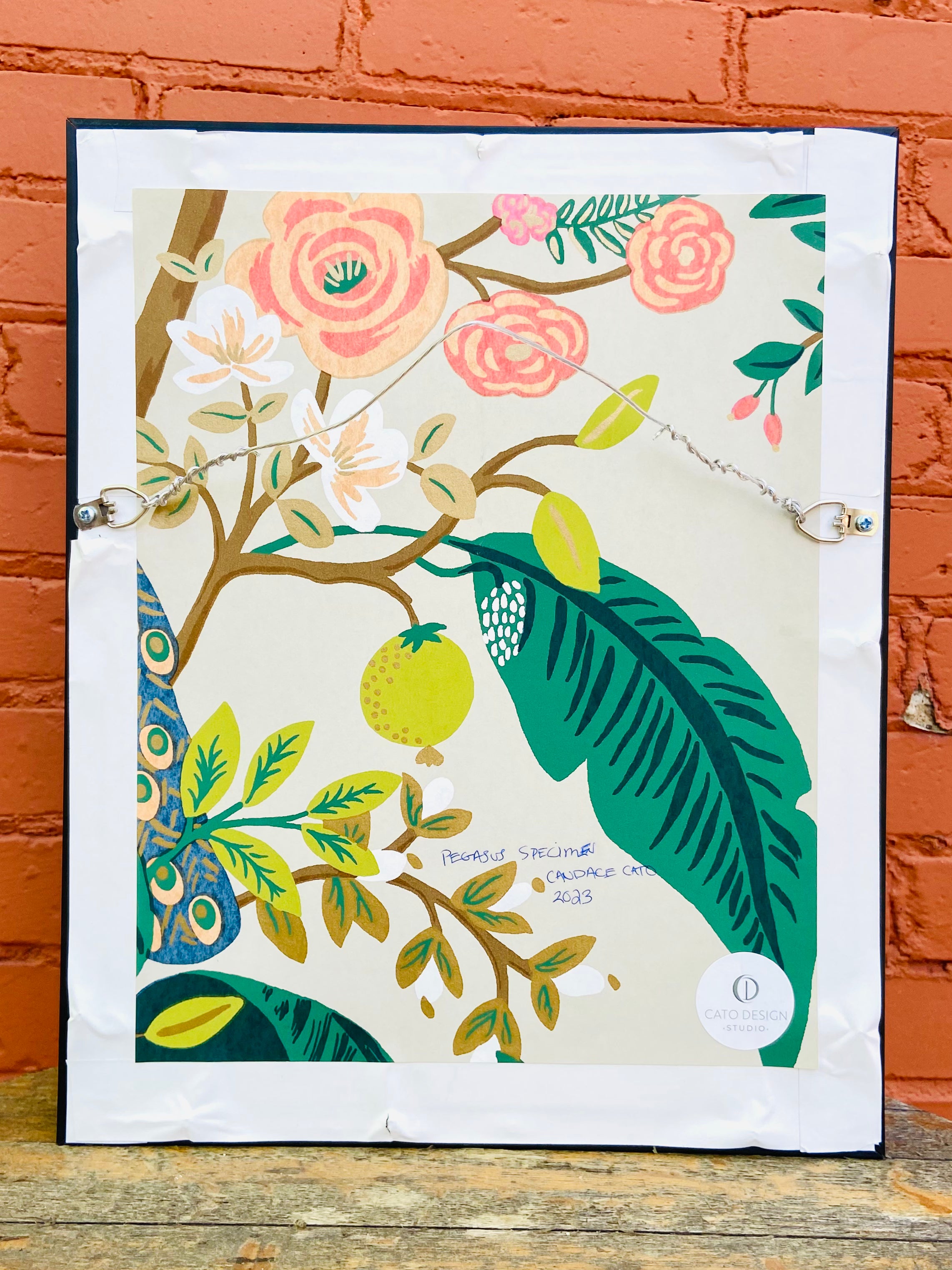 Candace Cato - Pegasus Specimens #2