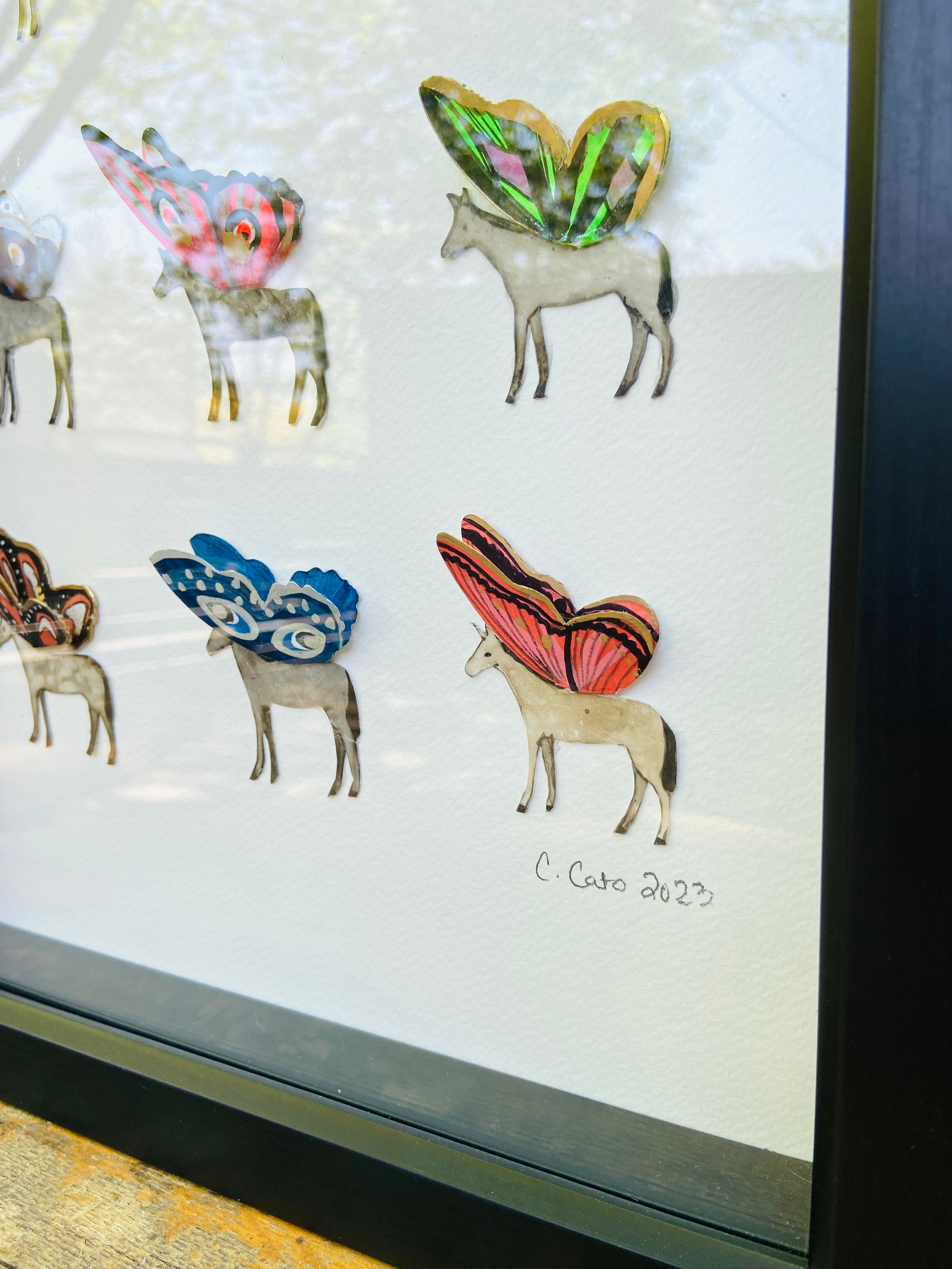 Candace Cato - Pegasus Specimens #2