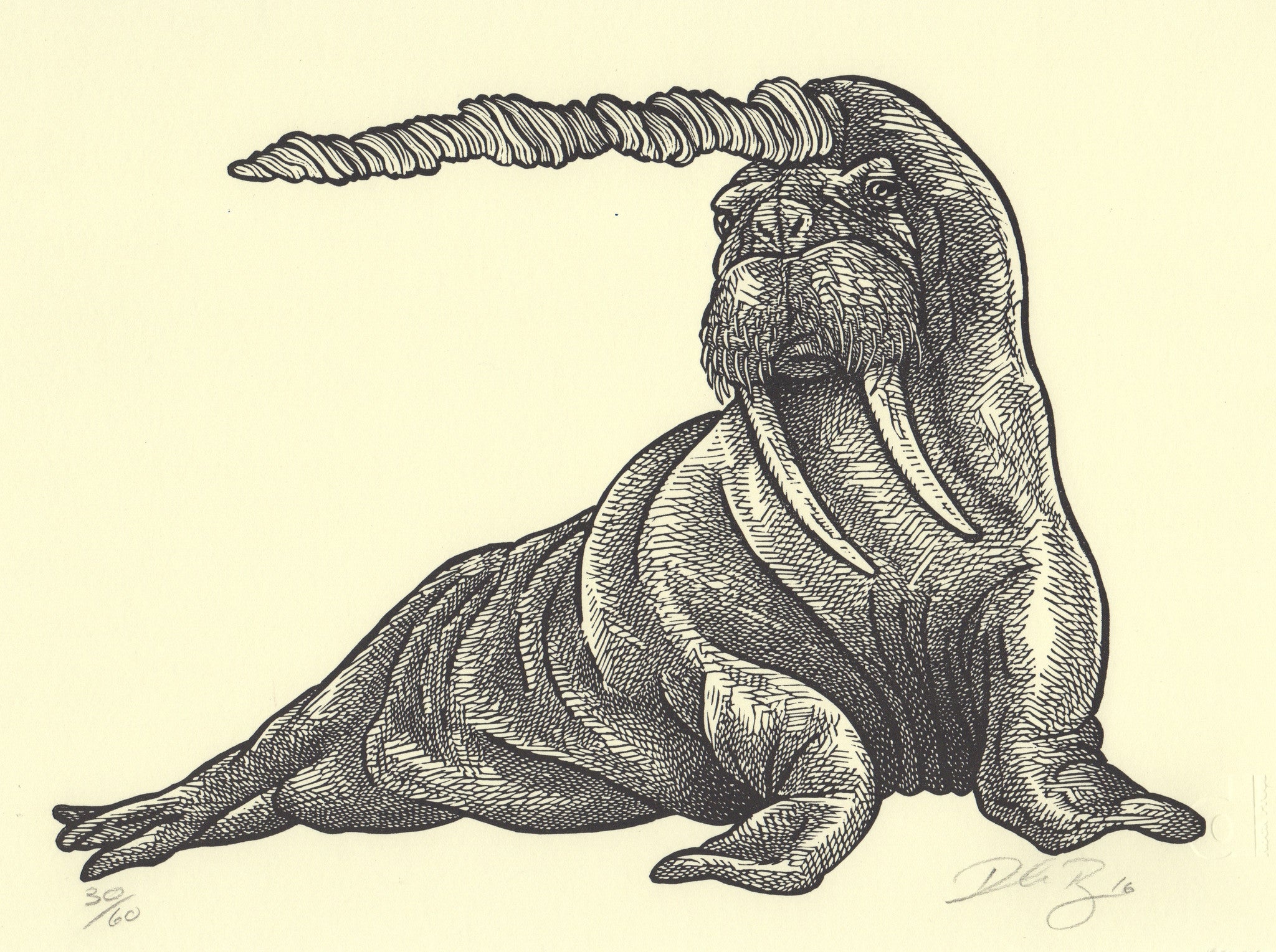 dRock Press - Narwalrus