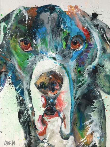 Great Dane - Giclee Canvas Print by Kasha Ritter