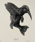 dRock Press - Humming Koi