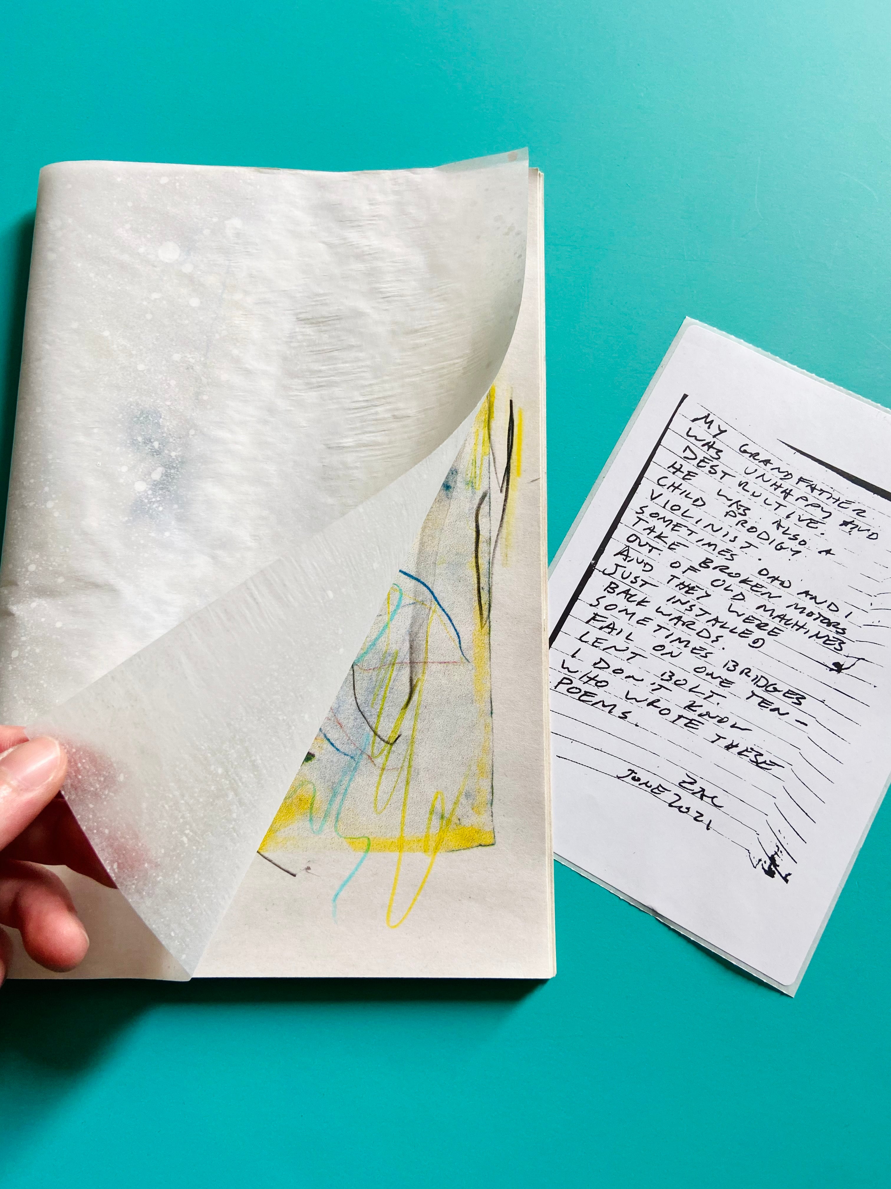 Stanely Goldstein - Risograph Printed Art Zine