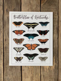 Field & Forest Design - Butterflies of Kentucky