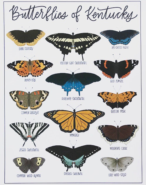 Field & Forest Design - Butterflies of Kentucky