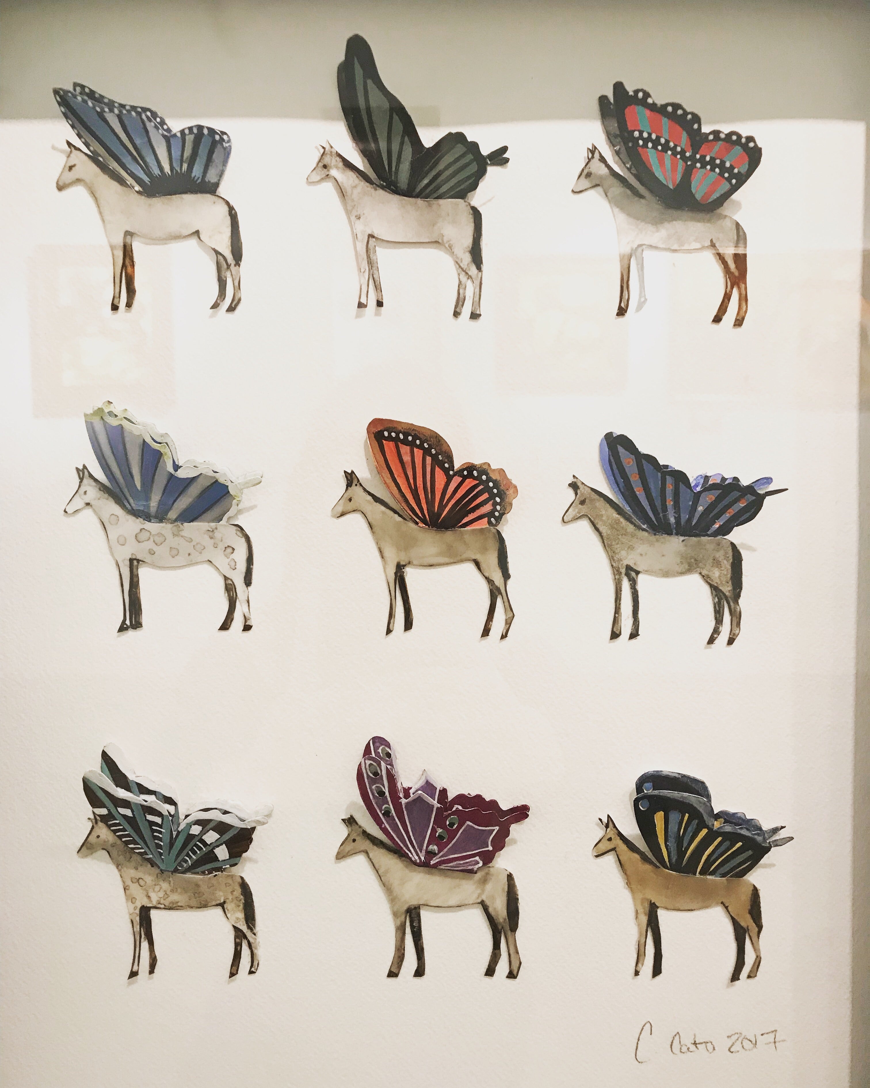 Candace Cato - Pegasus Specimens