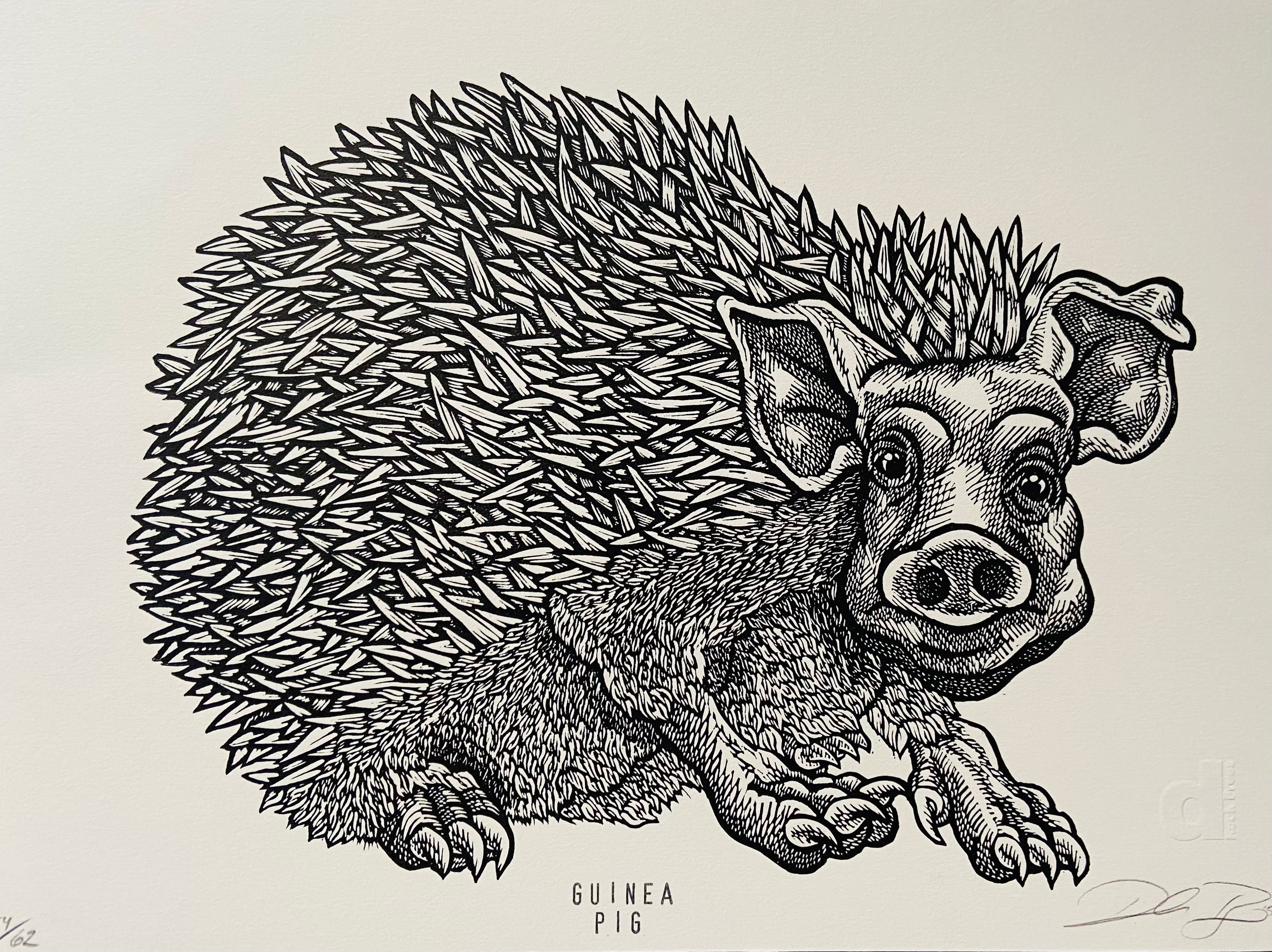 dRock Press - Guinea Pig