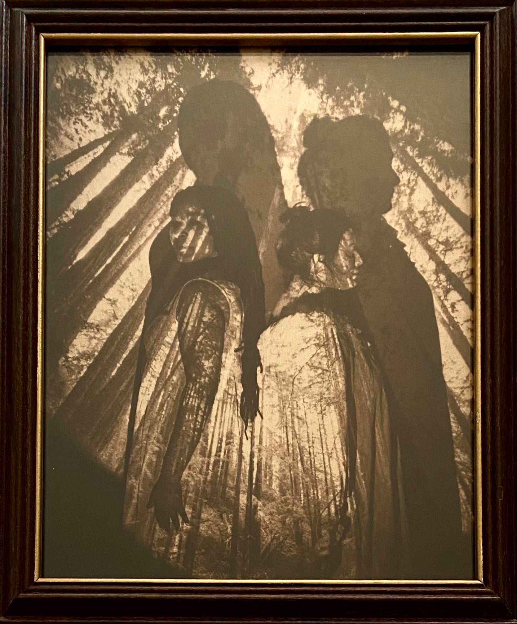 Amber Thieneman - Watchers