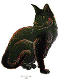 dRock Press - Radiation Cat