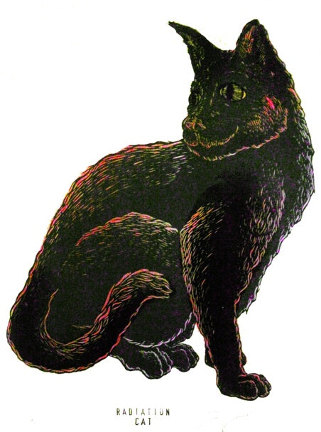 dRock Press - Radiation Cat