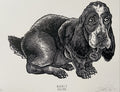 dRock Press - Rabbit Hound
