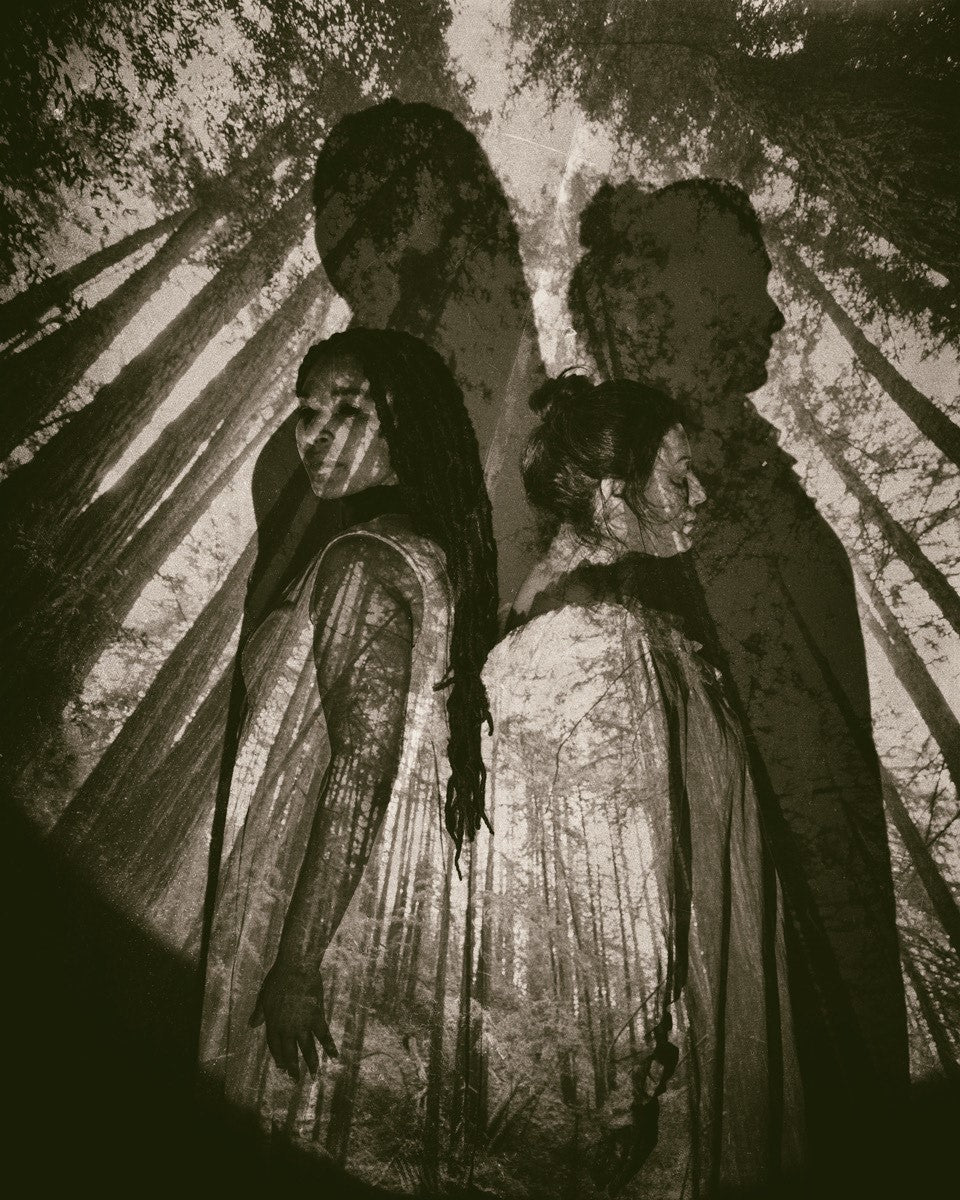 Amber Thieneman - Watchers