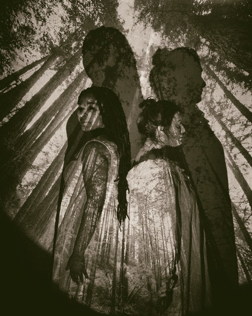 Amber Thieneman - Watchers